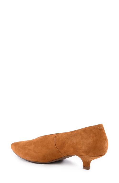 Seychelles Libertine Pointed Toe Kitten Heel Pump In Brown