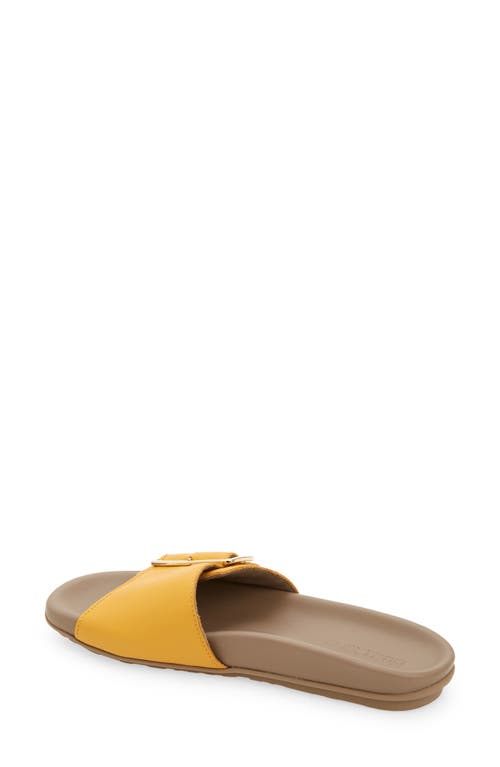 Naot Tahiti Slide Sandal In Marigold Leather