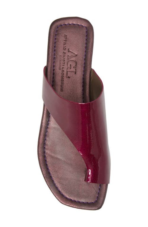 Agl Attilio Giusti Leombruni Asymmetrical Toe Thong Sandal In Pink