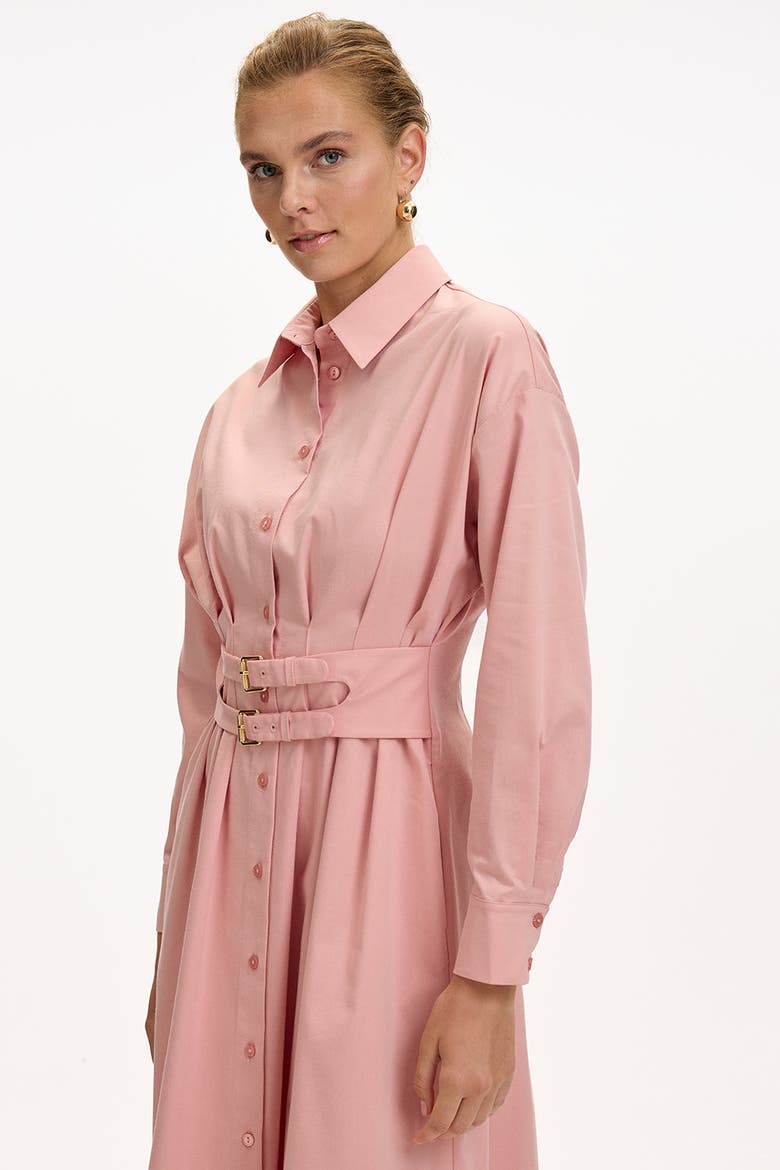 Belted Fitted Waist Midi Shirt Dress, Alternate, color, DRIED ROSE