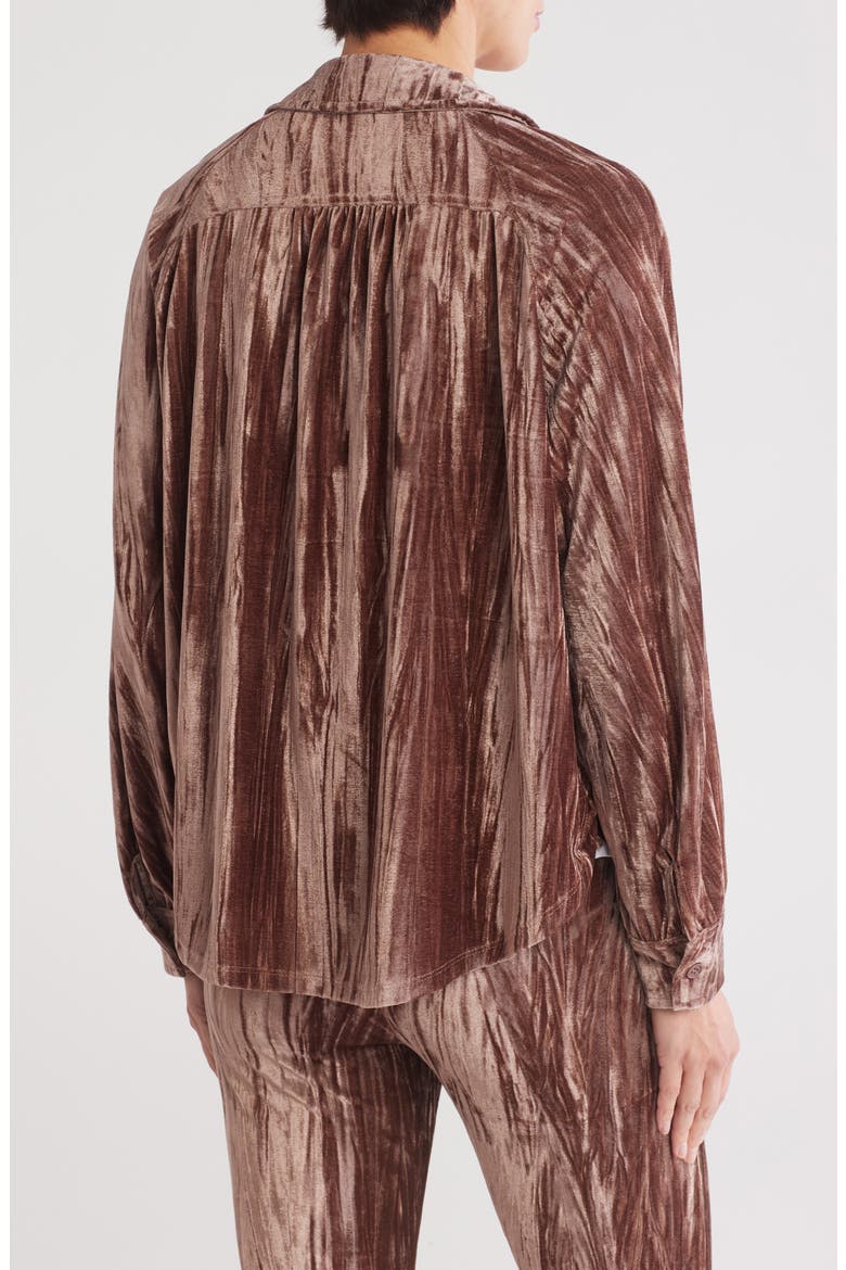 Velour Button-Up Shirt, Alternate, color, TAUPE