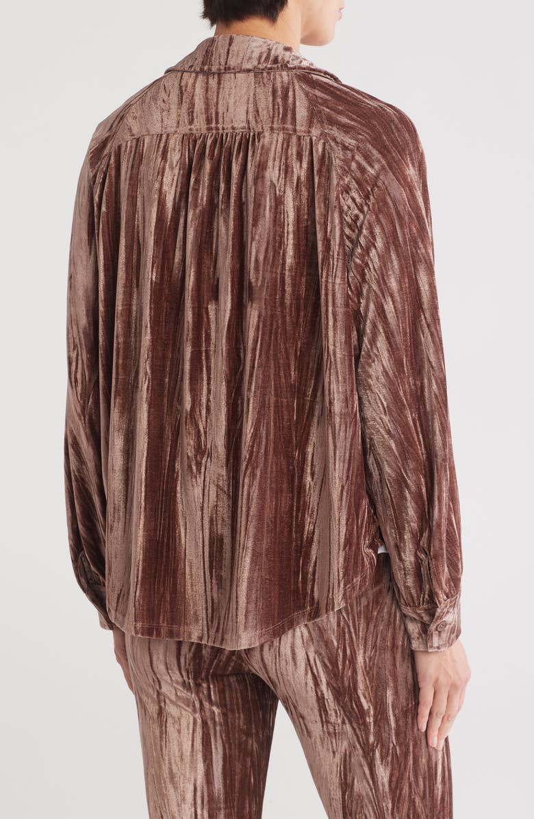 WISHLIST Velour Button-Up Shirt, Alternate, color, Taupe