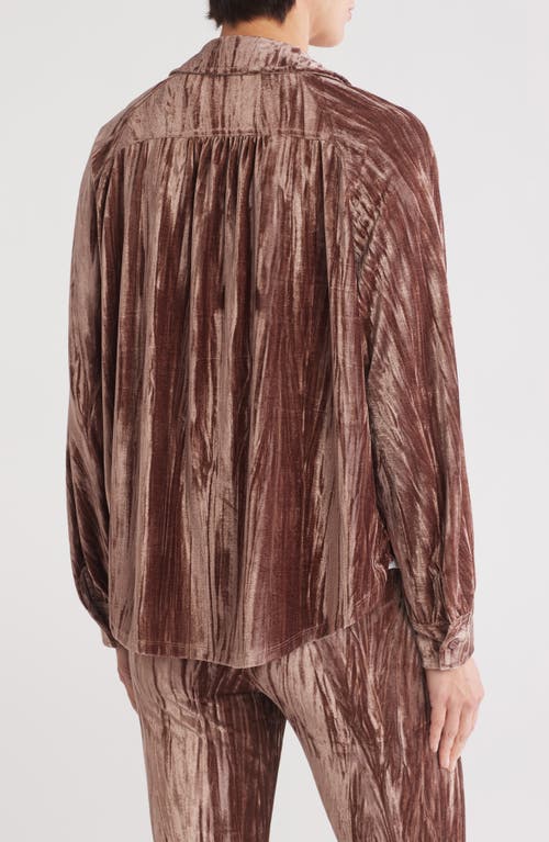 Wishlist Velour Button-up Shirt In Taupe