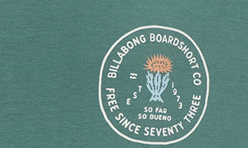 Billabong Kids' Desert Rose Long Sleeve Graphic T-shirt In Green