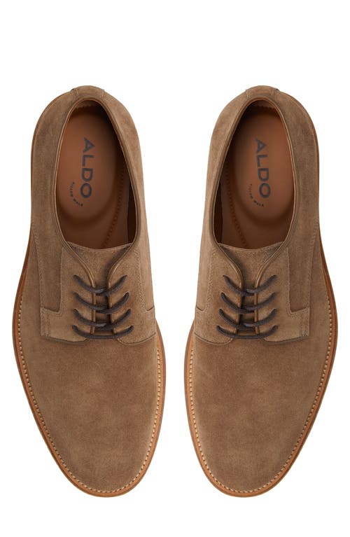 Aldo Raiden Derby In Brown