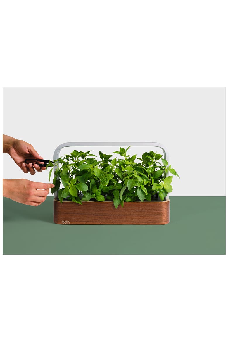 SmallGarden Smart Garden, Alternate, color, WALNUT