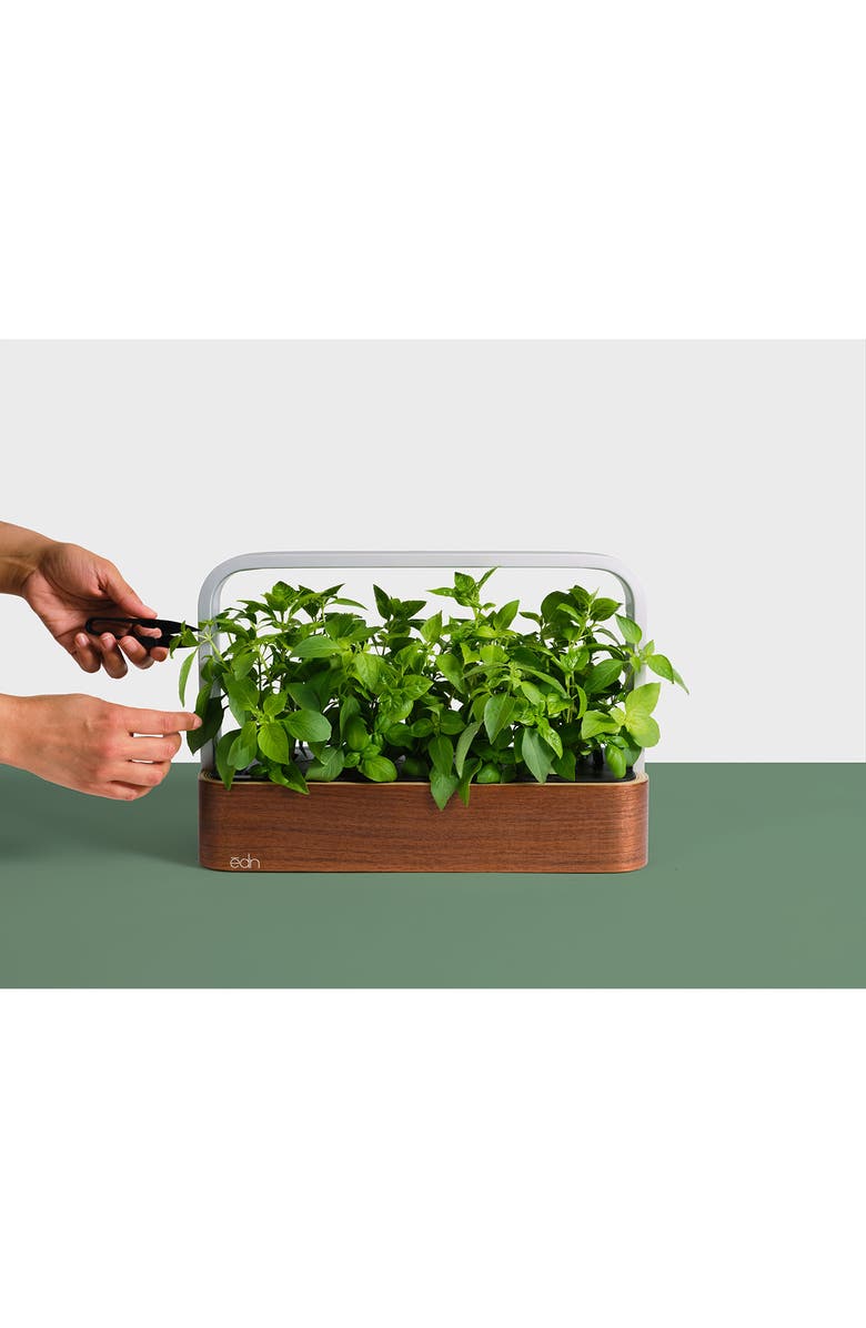 EDN SmallGarden Smart Garden, Alternate, color, 
