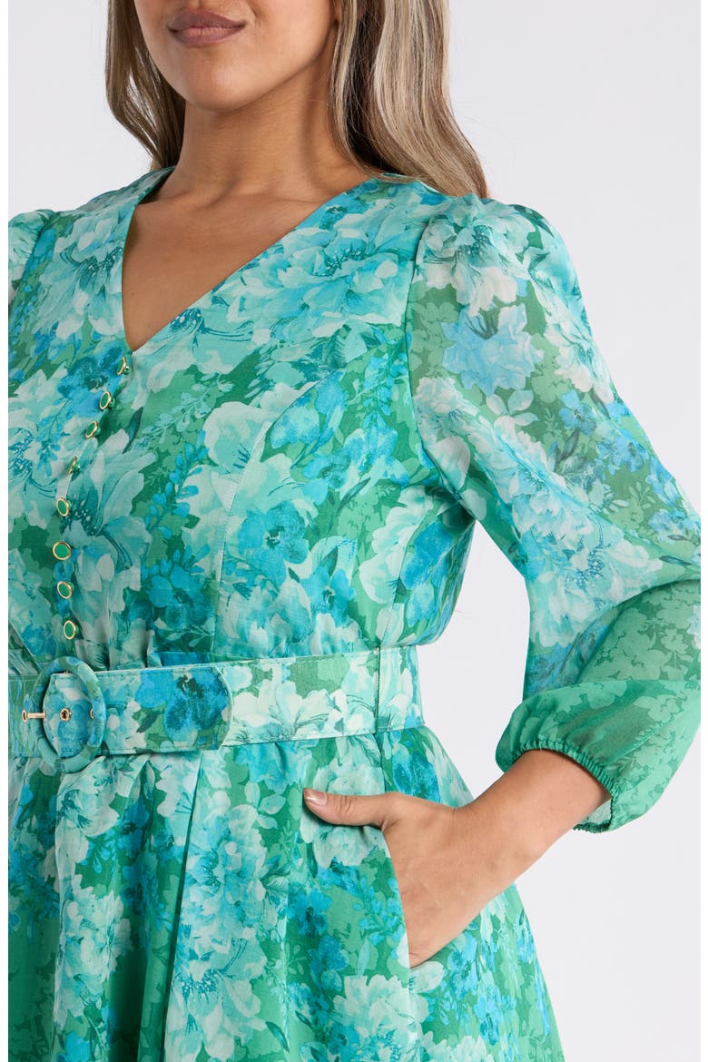 Long Sleeve Printed Midi Dress, Alternate, color, GREEN