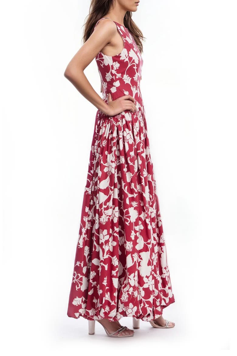 Floral Drop Waist Maxi Dress, Alternate, color, RED MULTI