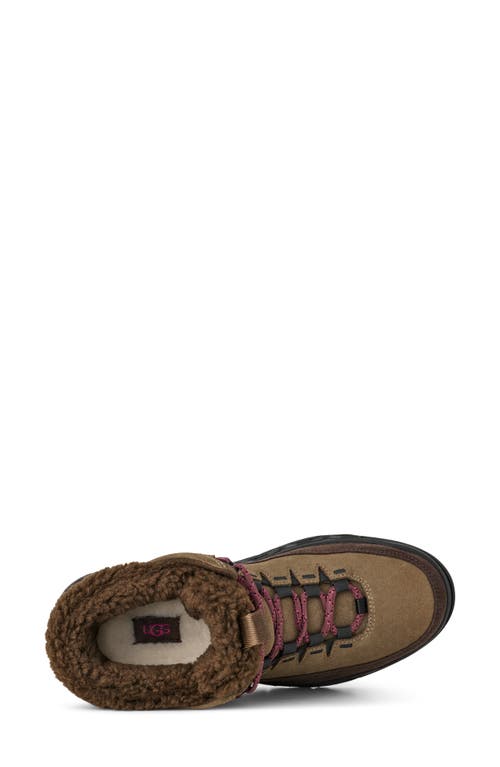 Ugg(r) Terretrail Cozy Winter Boot In Brown