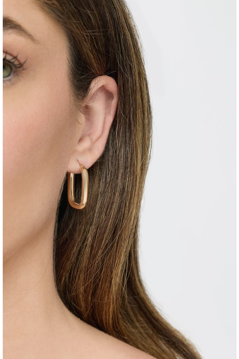 14k Gold Hoop Earrings, Alternate, color, 14KY