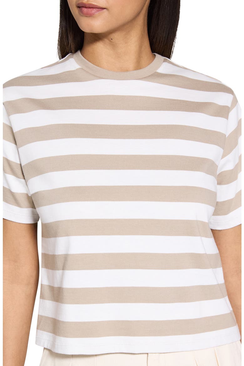 Stripe Cotton T-Shirt, Alternate, color, TAUPE MULTI