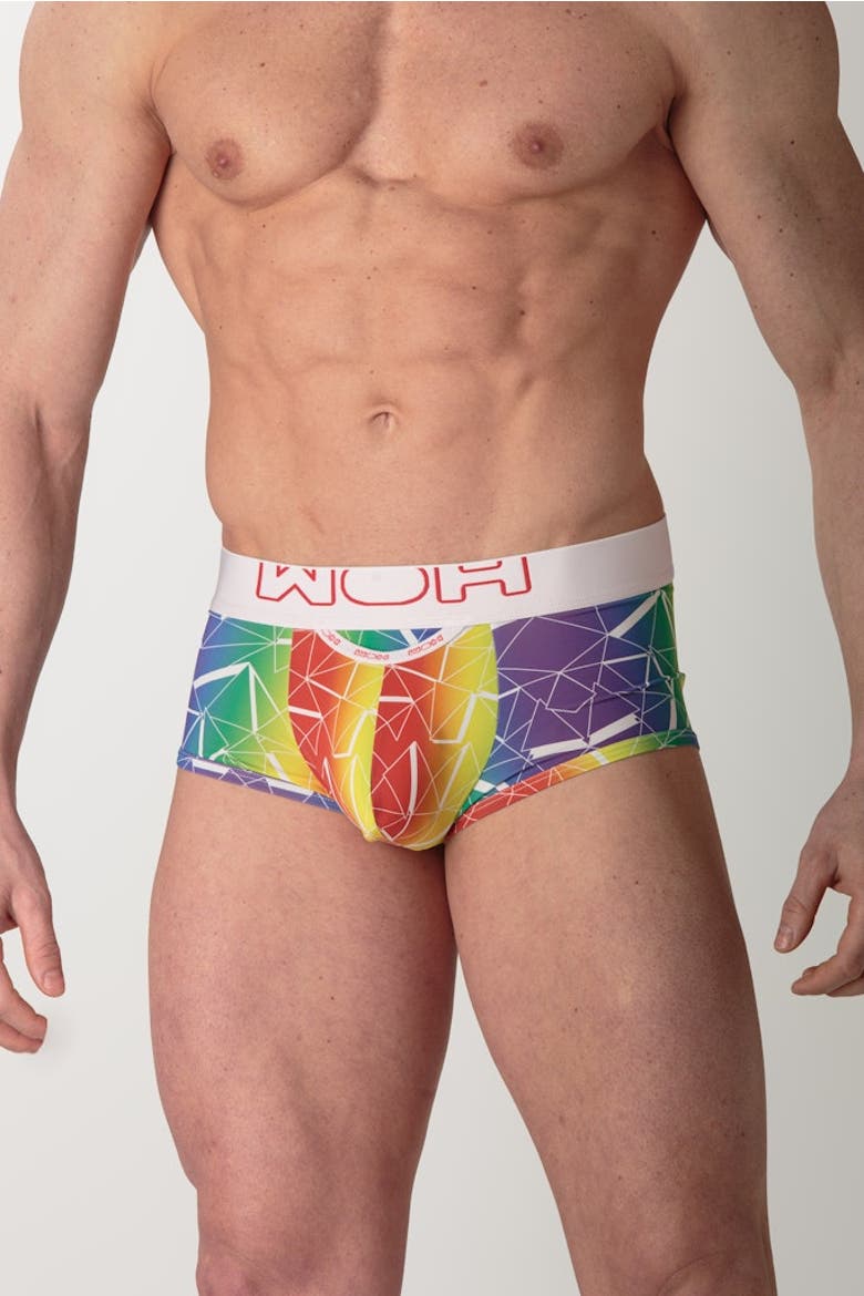 WOH Sexy Fun Trunk, Alternate, color, Multico Print