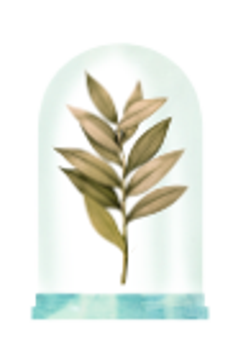 Flora Magnífica Eau de Parfum, Alternate, color, Clear
