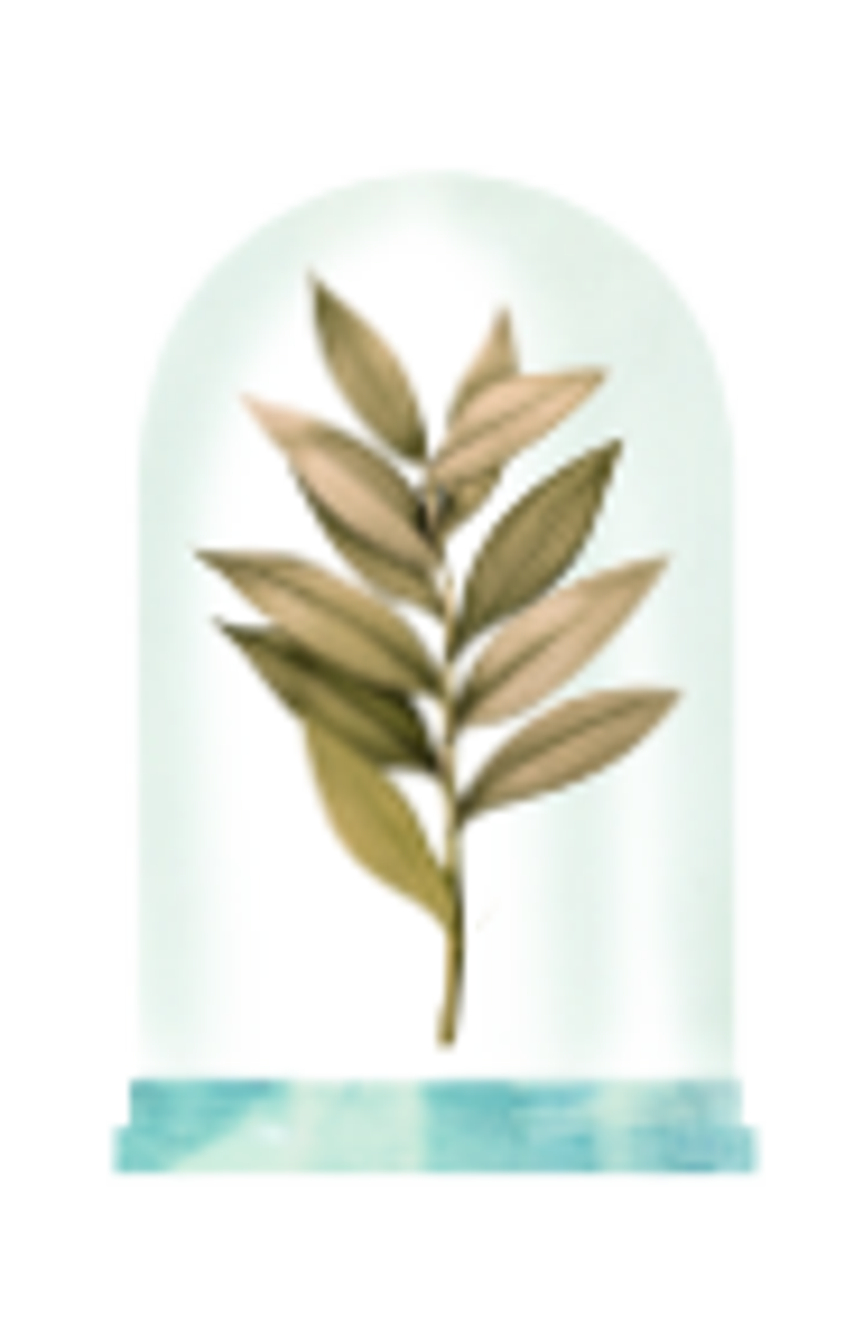 GRANADO Flora Magnífica Eau de Parfum, Alternate, color, Clear