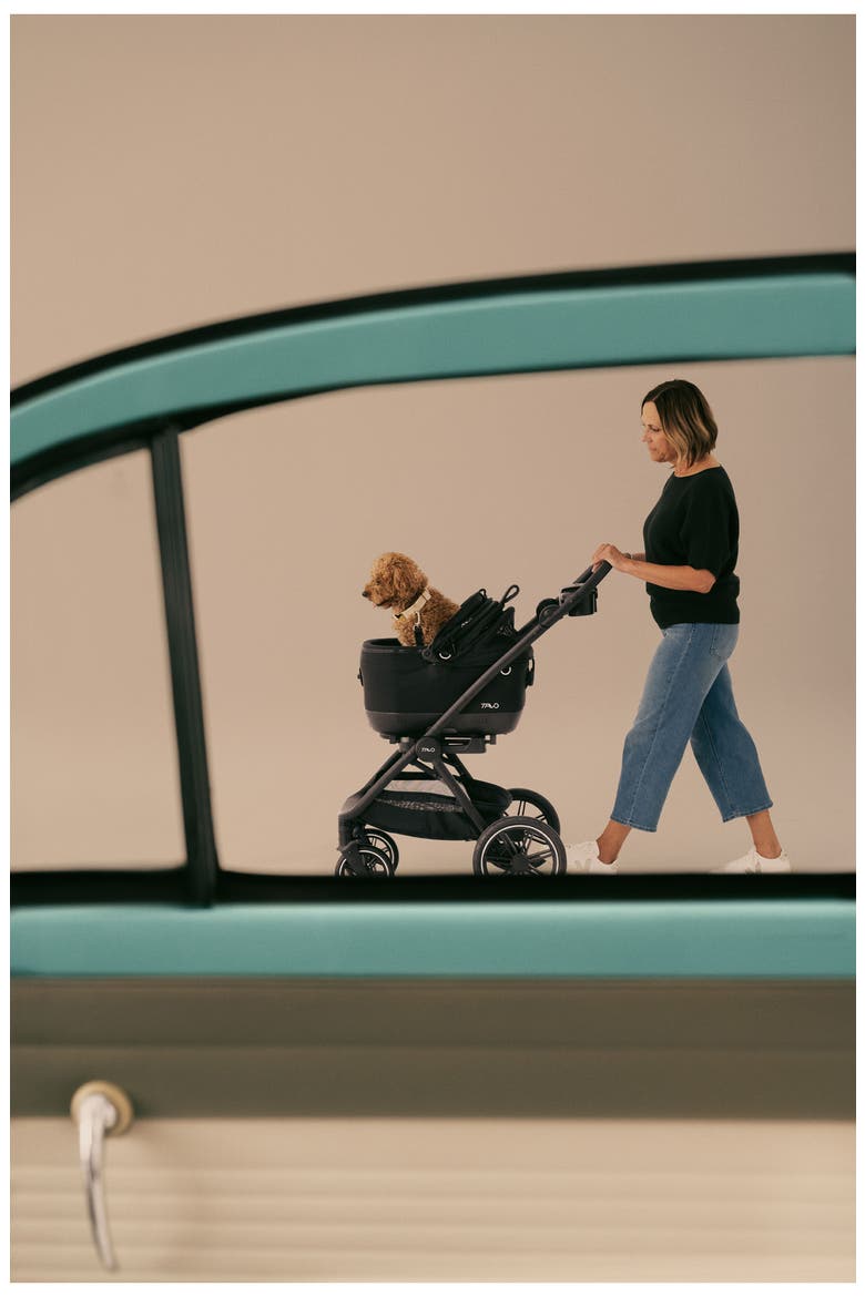 Maeve Pet Car Seat & Roscoe Stroller Travel System, Alternate, color, FAWN