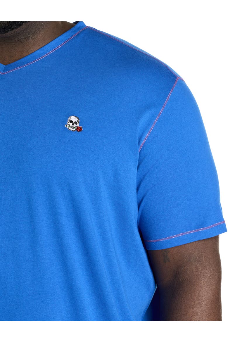 Big & Tall Westwood Contrast Stitch V-Neck T-Shirt, Alternate, color, BLUE