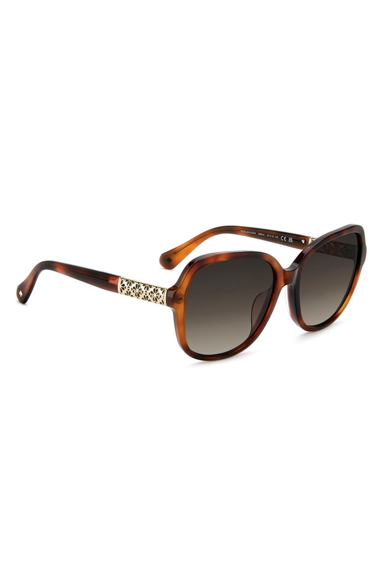 Kate Spade New York eliza 57mm gradient round sunglasses, Alternate, color, Havana/ Brown