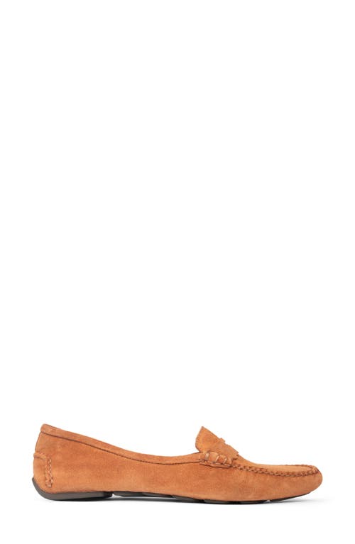 Patricia Green Janet Scalloped Driving Loafer In Brown