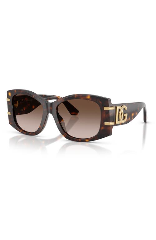 Dolce & Gabbana Dg4501 Acetate Butterfly Sunglasses In Brown