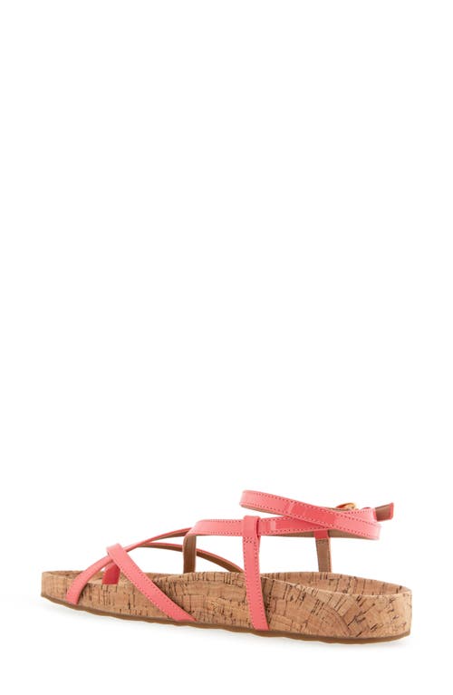 Shop Aerosoles Leera Ankle Strap Flat Sandal