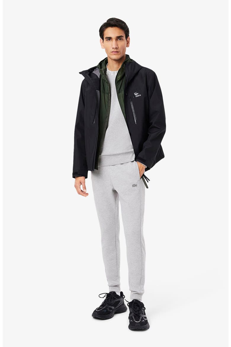 Everyday Slim Fit Joggers, Alternate, color, SILVER CHINE