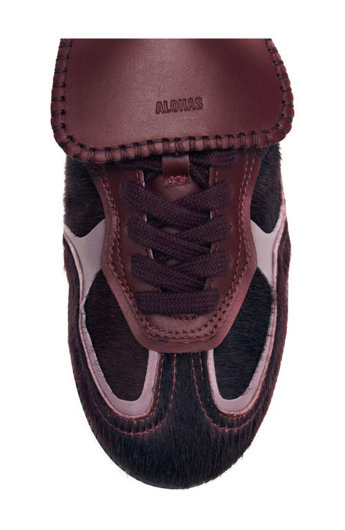 Alohas Tb.490 Club Low-top Sneakers In Burgundy