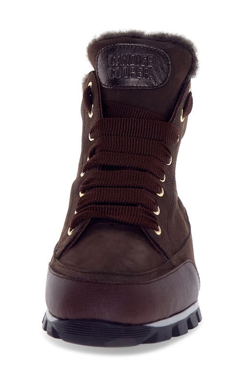 Candice Cooper Runlo Waterproof Genuine Shearling Lined High Top Sneaker In Multi