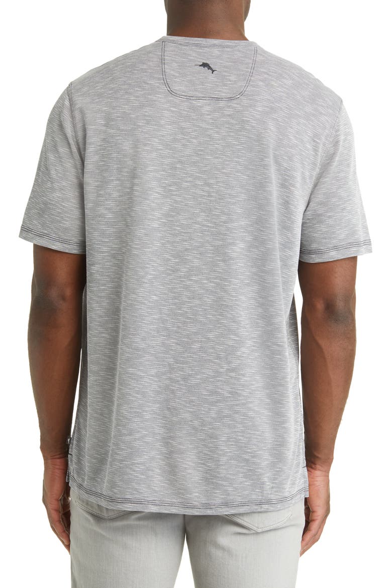 Cape Cayo V-Neck T-Shirt, Alternate, color, COAL