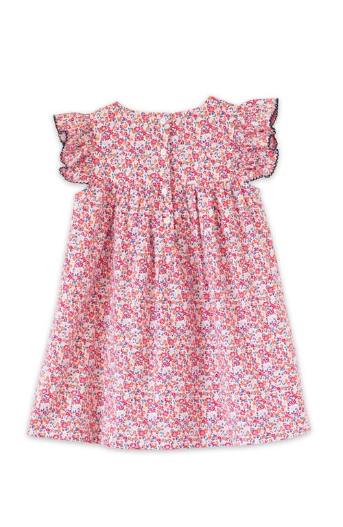 Beet World Girls Hannah Dress With Flutter Sleeves In Red And Blue
