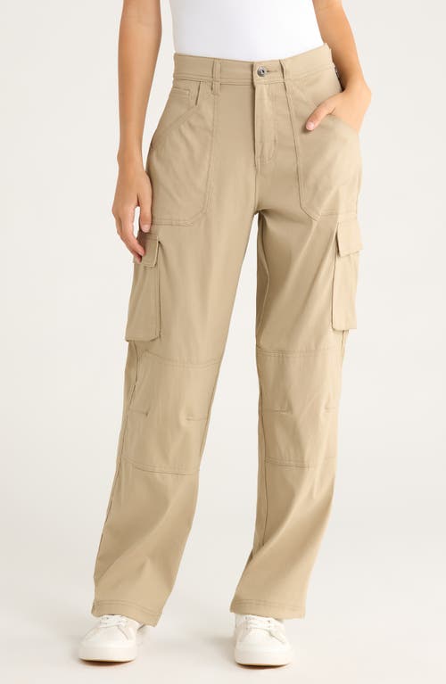 Prana Zion Cargo Pants In Brown