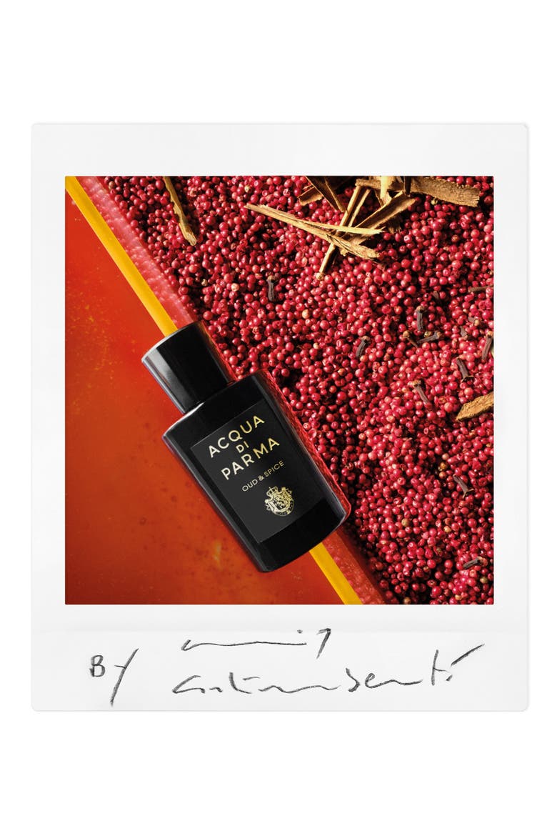 Signatures of the Sun Oud & Spice Eau de Parfum, Alternate, color, NO COLOR