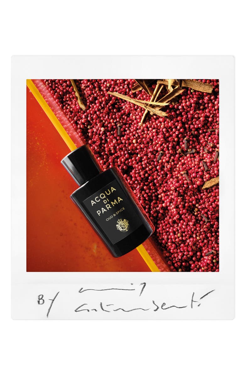 Acqua di Parma Signatures of the Sun Oud & Spice Eau de Parfum, Alternate, color, 