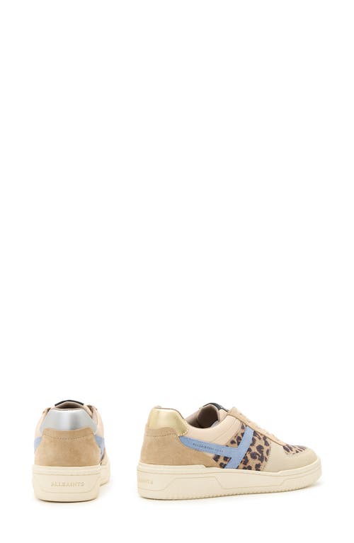 Allsaints Vix Sneaker In Sand Brown/blue