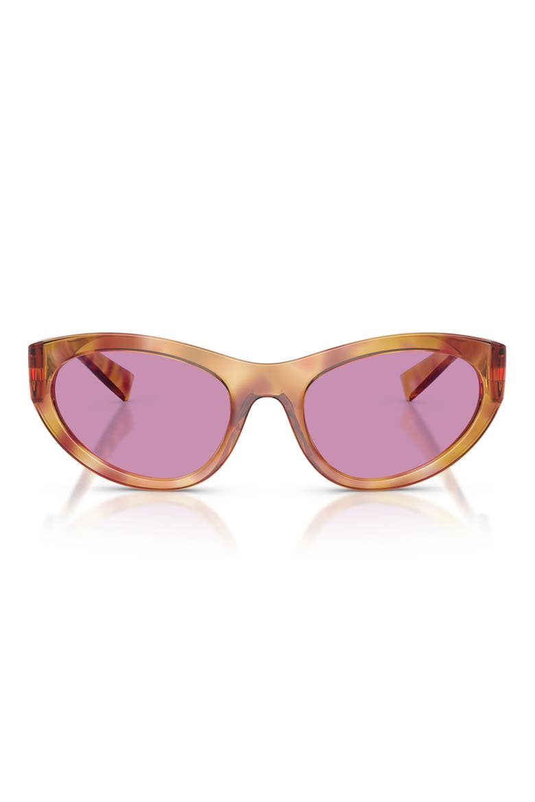54mm Cat Eye Sunglasses, Main, color, VIOLET HAVANA / PURPLE