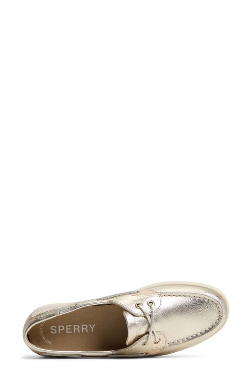 Sperry Coastfish 2-eye Boat Shoe