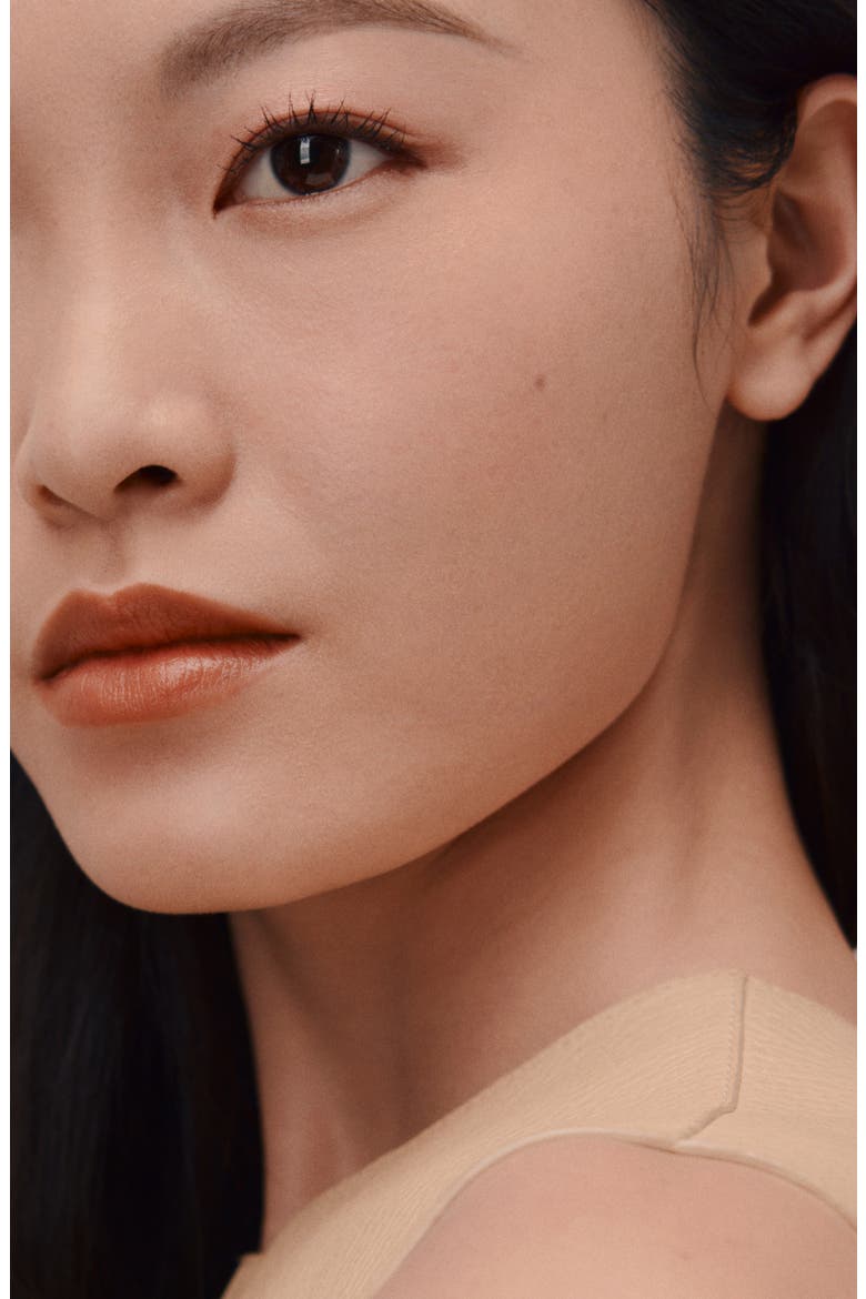 Plein Air - Luminous Matte Skincare Foundation, Alternate, color, 25W ROTIN