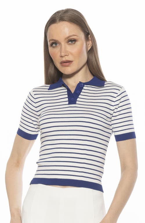 Alexia Admor Elani Knit Polo In Ivory/navy