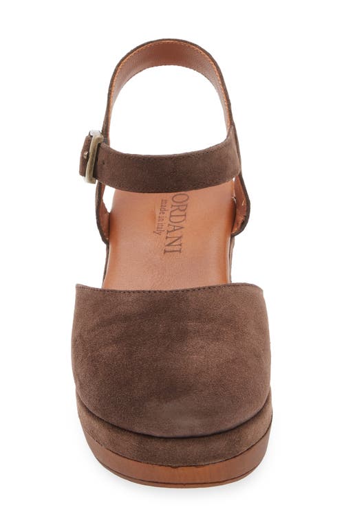 Cordani Warner Ankle Strap Platform Clog In Brown