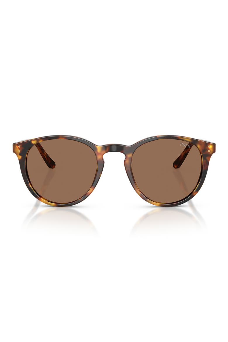 50mm Phantos Sunglasses, Main, color, SHINY ANTIQUE HAVANA / BROWN