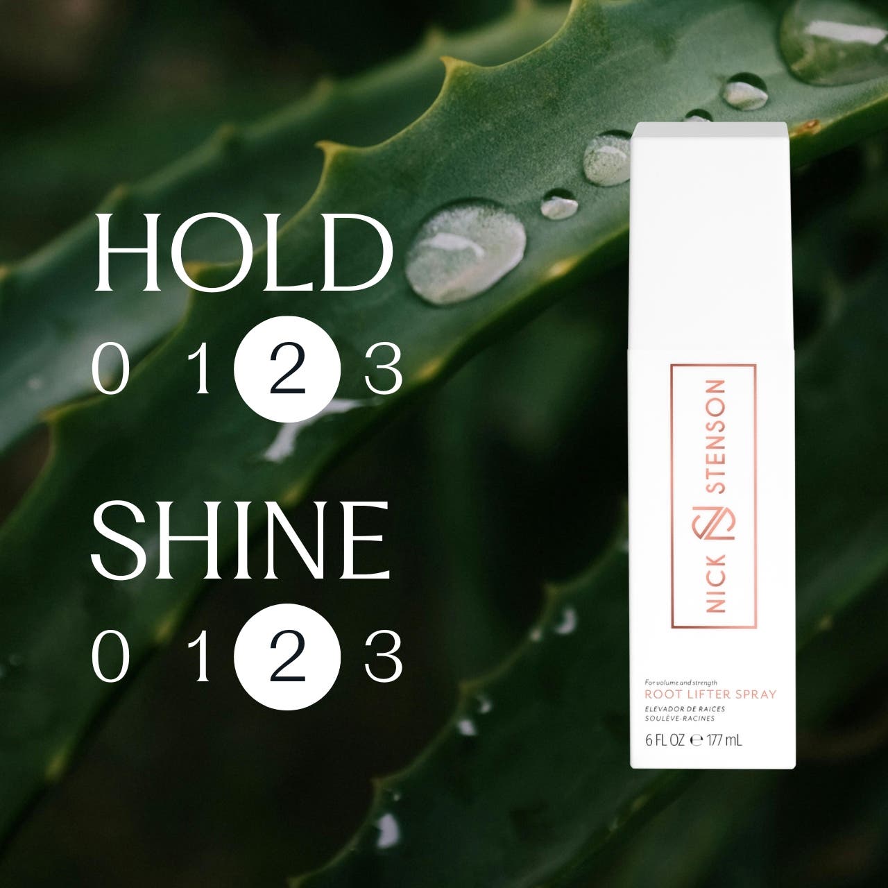 Nick Stenson Beauty Root Lifter Spray | Nordstrom
