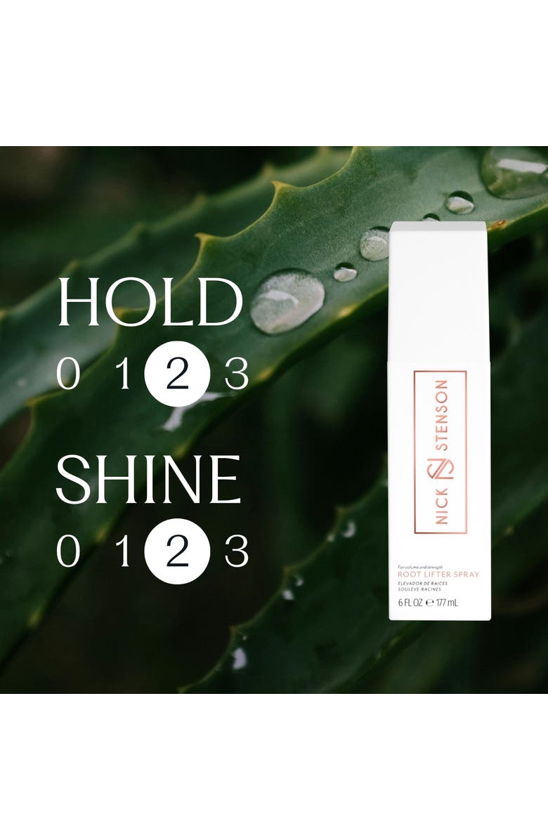 Nick Stenson Beauty Root Lifter Spray, Alternate, color, NO COLOR