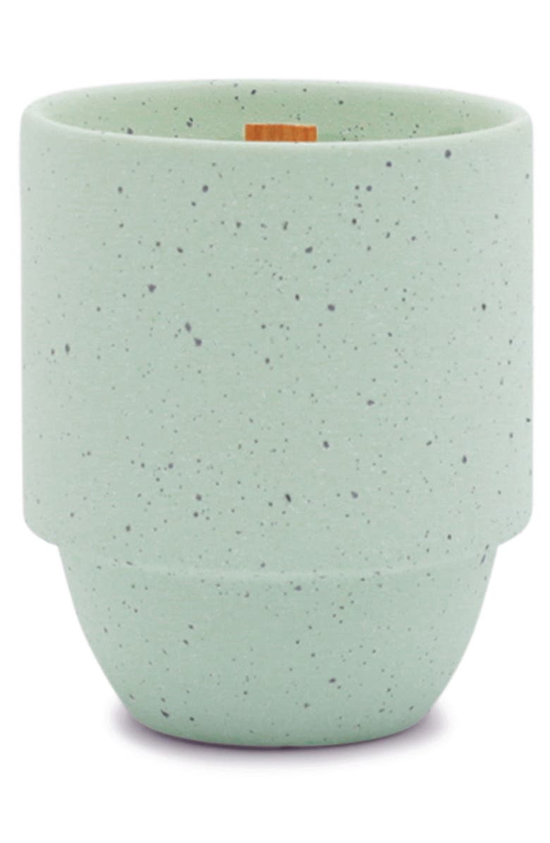Paddywax Olympic National Park Candle, Main, color, Pacific Moss And Mist