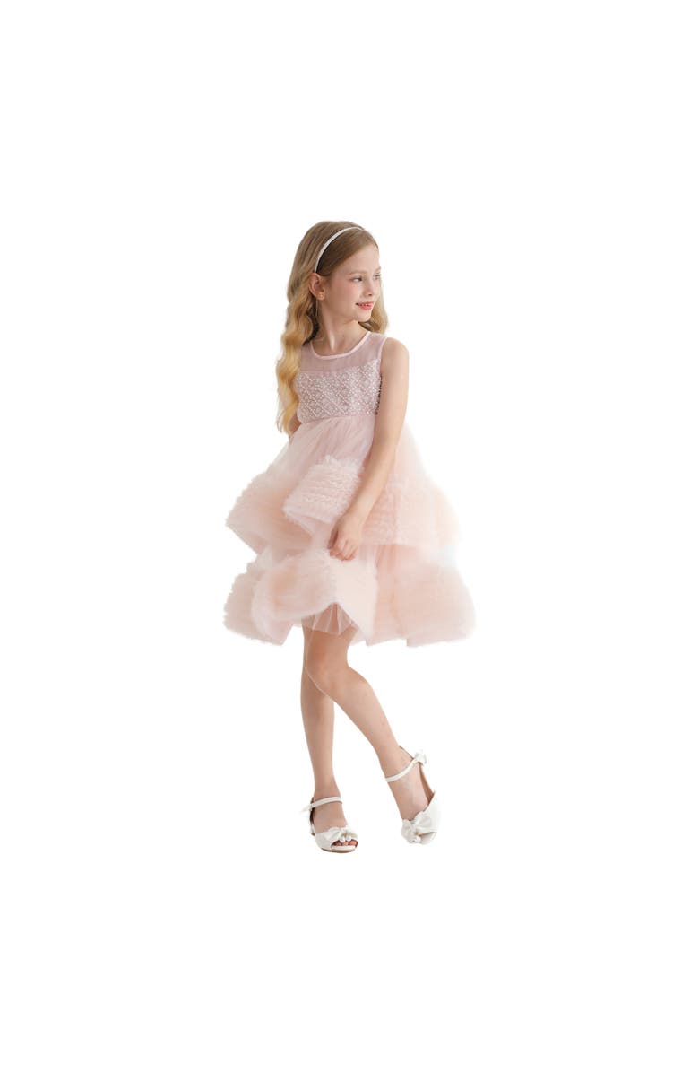 Tulleen Sweetberry Dress, Alternate, color,