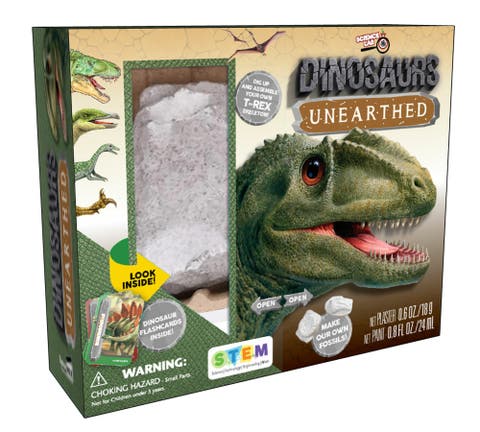 Dinosaurs Unearthed Kit Dive Into The Prehistoric World