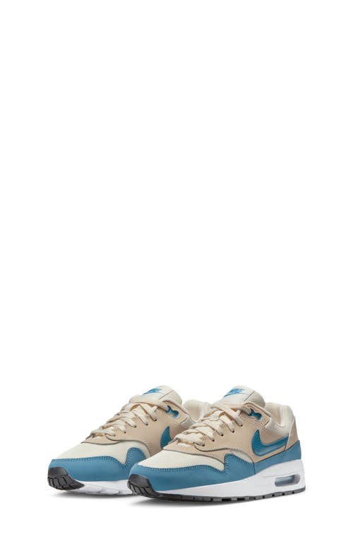 Nike Kids' Air Max 1 Sneaker