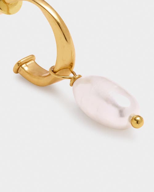 Katie Loxton Pearl Lustre Hoop Earrings In Gold