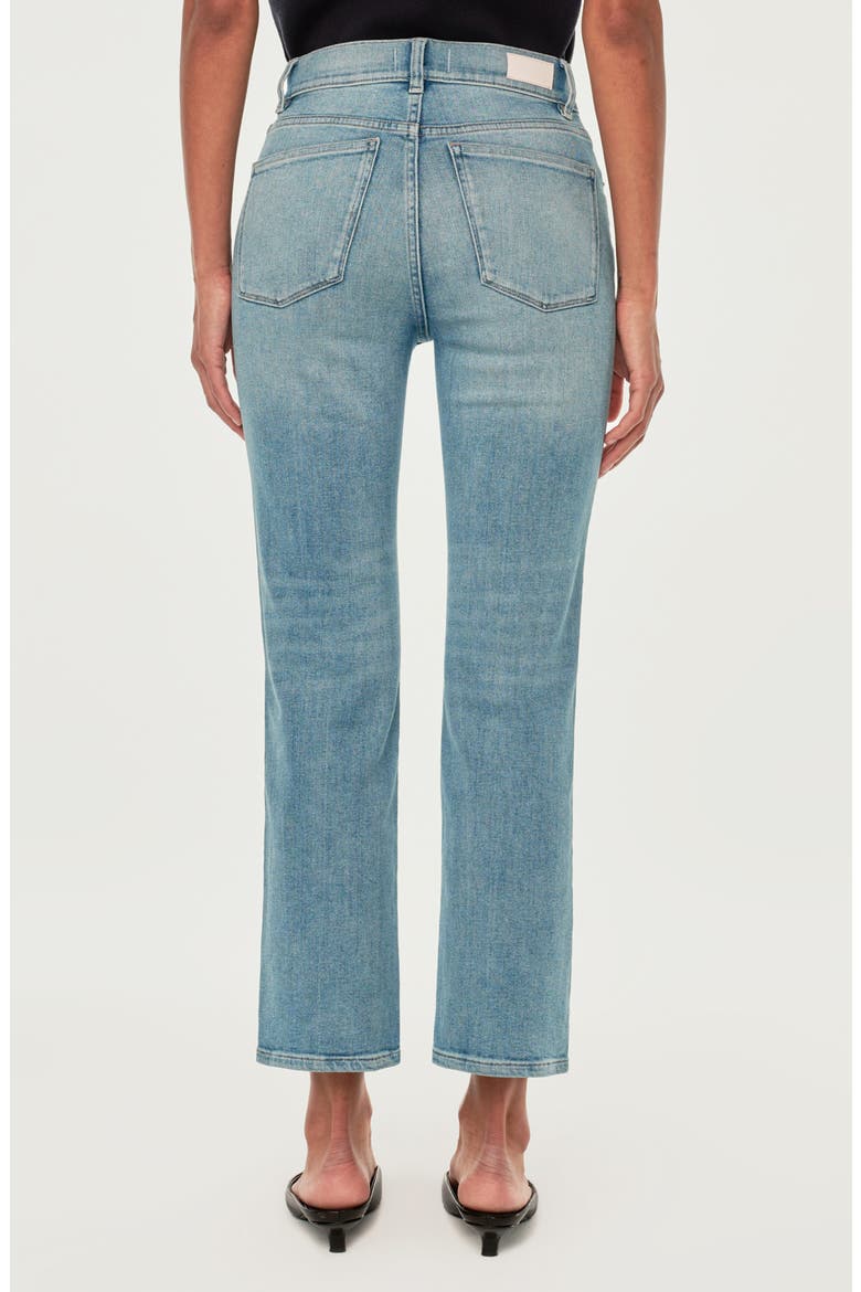 Patti High Waist Ankle Straight Leg Jeans, Alternate, color, RIDGE DL AIRBRUSHED