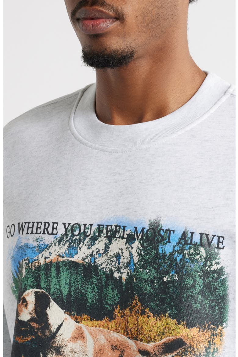 Alive Crewneck Graphic Sweatshirt, Alternate, color, HEATHER