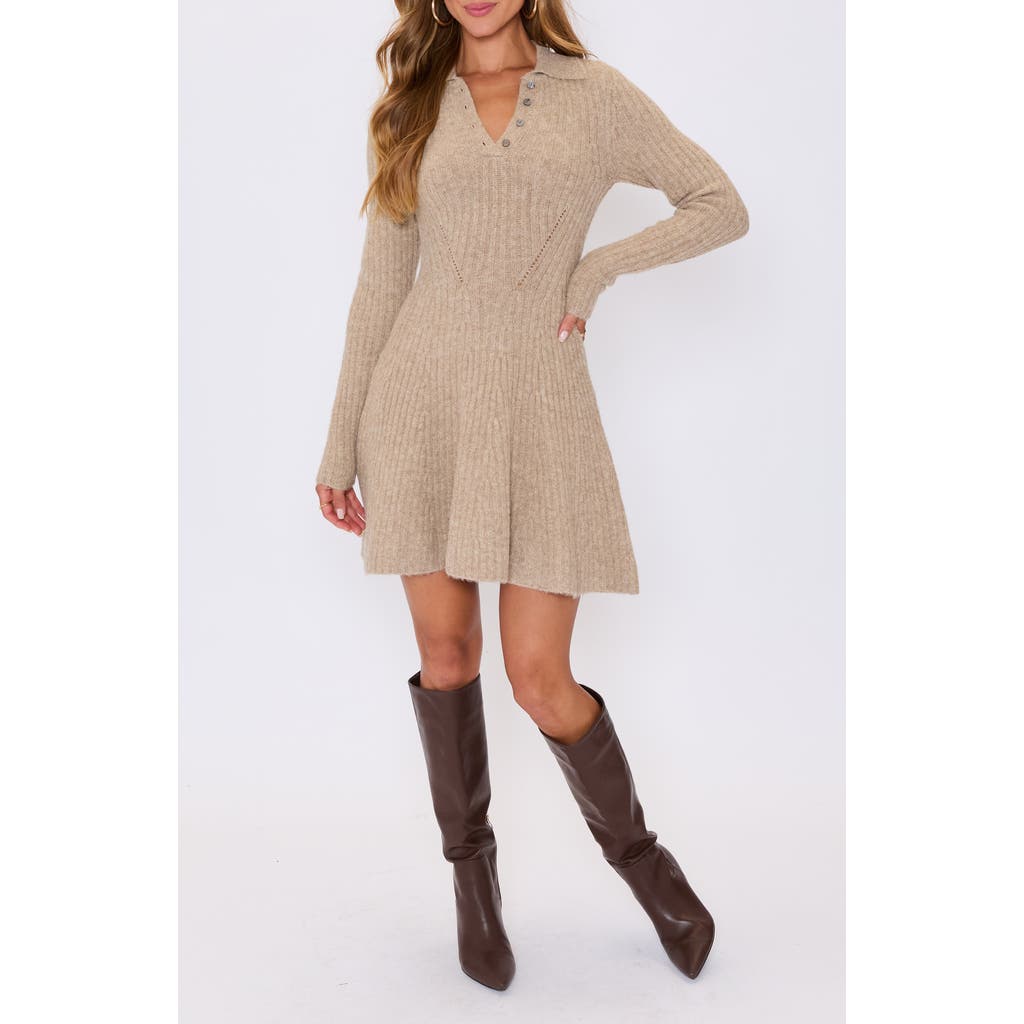 Vici Collection Ember Long Sleeve Fit & Flare Sweater Minidress In Brown